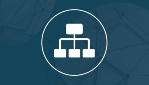 2process Rego Consulting Testimonials