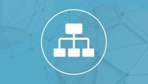 3process Rego Consulting Testimonials