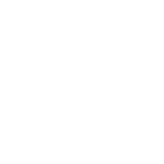 bremer-150