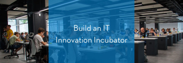 Build an IT Innovation Incubator - Rego Consulting