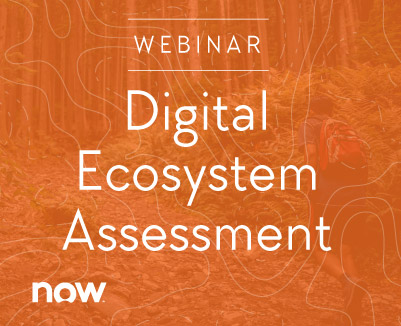 Digital-Ecosystem-Assessment-SNOW_Website Small CA PPM Clarity PPM Consulting