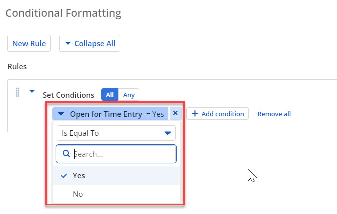 Screenshot of the Conditional Formatting for Time Entries in Clarity PPM