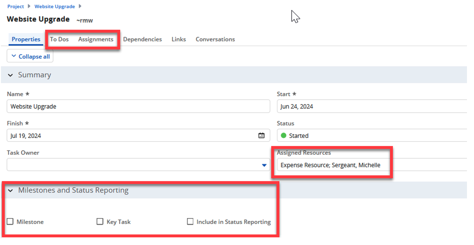 Screenshot of the Conditional Formatting for Time Entries in Clarity PPM