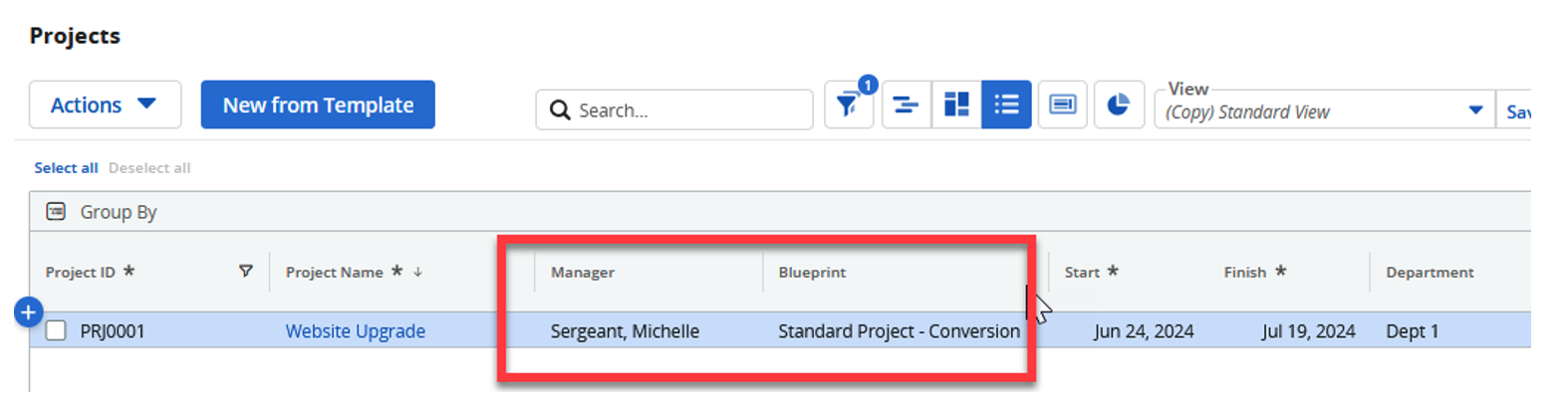 Screenshot of the Conditional Formatting for Time Entries in Clarity PPM