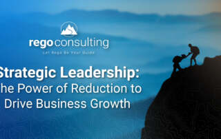 Rego consulting banner titled strategic leadership on reducing complexity to drive business growth.