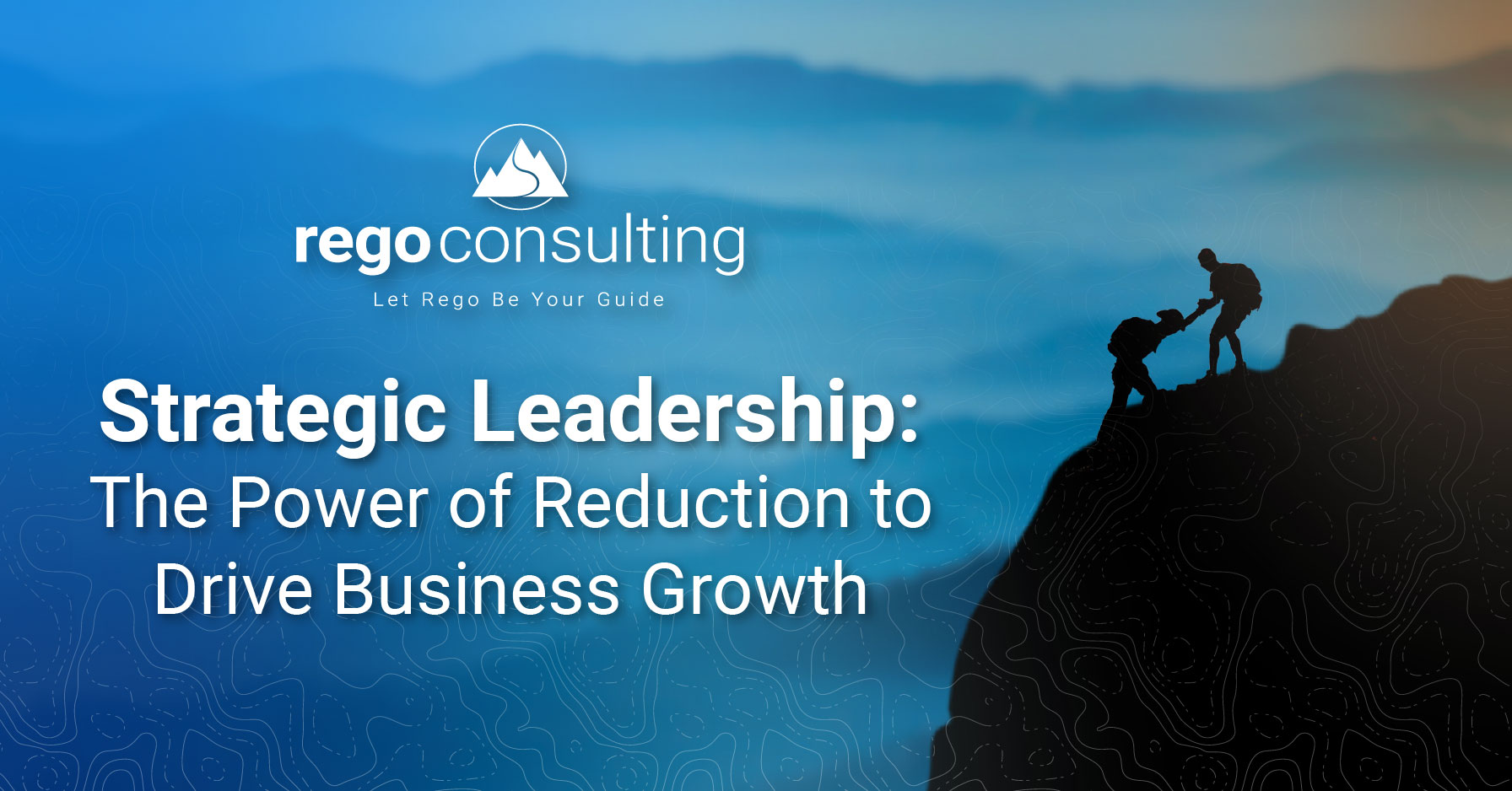 Rego consulting banner titled strategic leadership on reducing complexity to drive business growth.