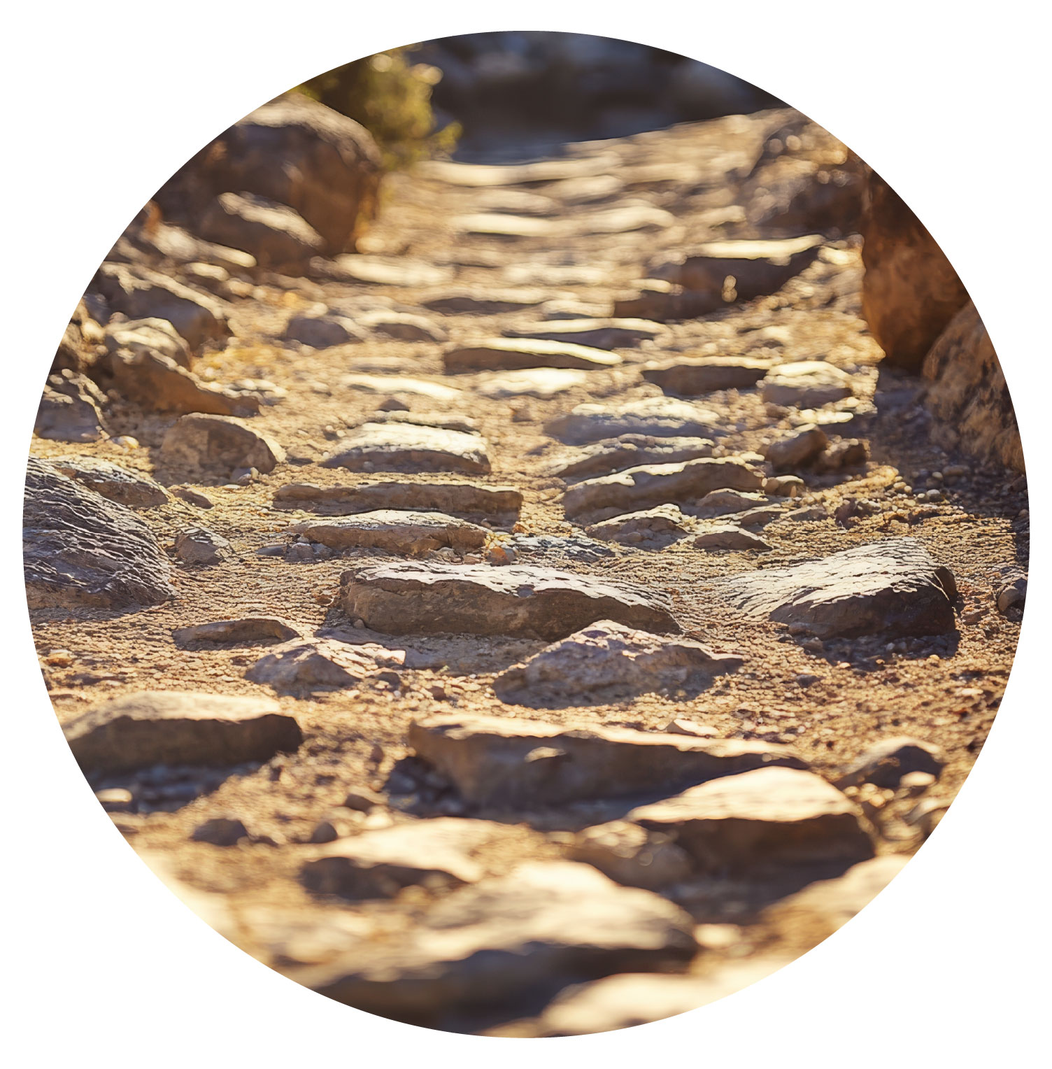 Rocky sunlit path ascending through uneven stones.