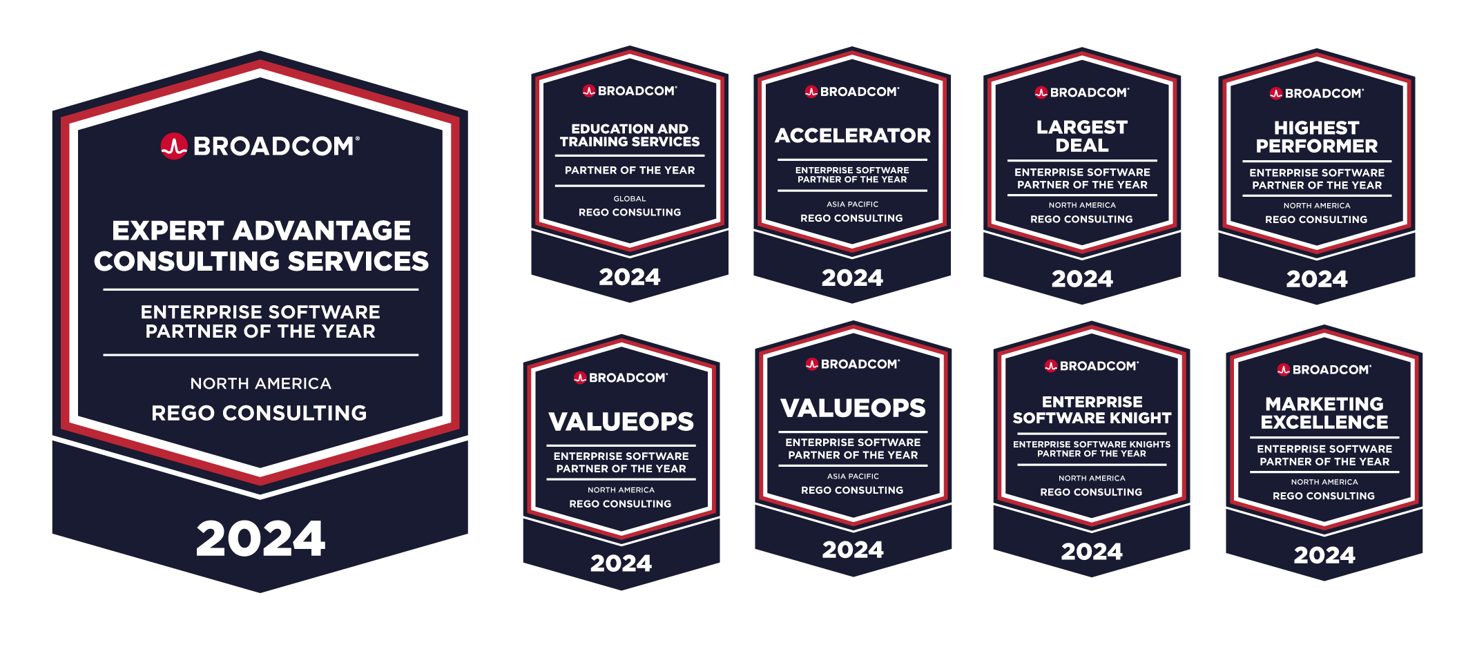 Partner-of-the-year-2024-06