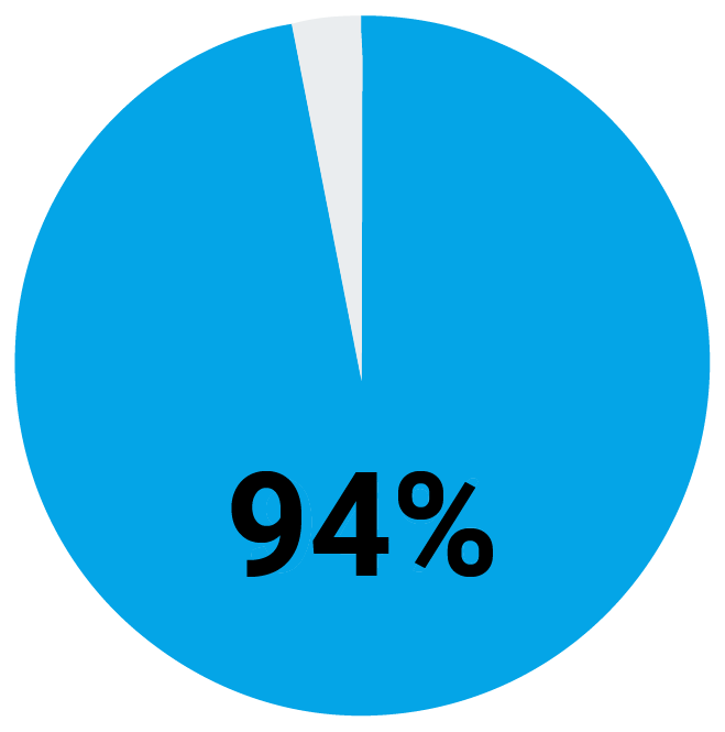 Pie chart showing 94% highlighted in blue, with a small remaining slice.
