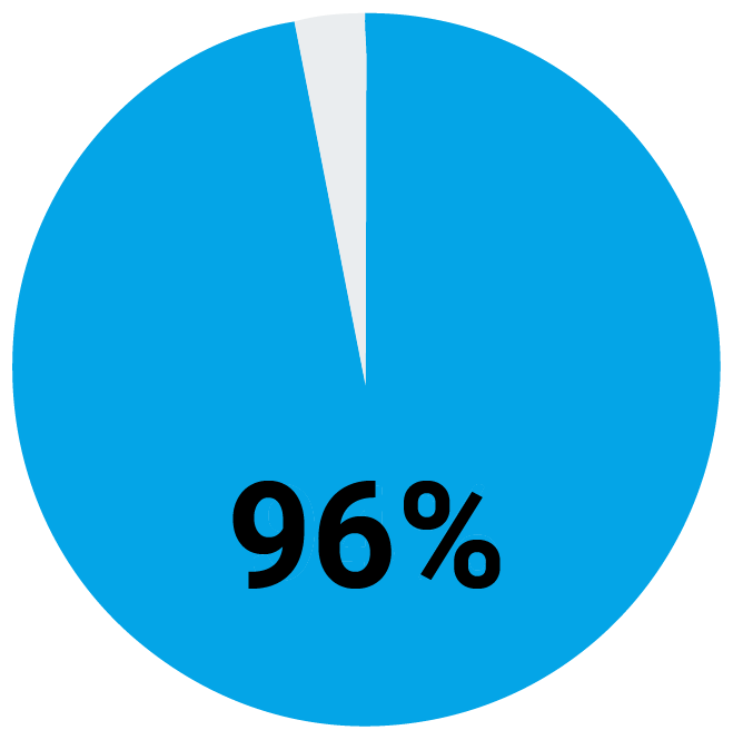 Pie chart showing 96% highlighted in blue, with a small remaining slice.