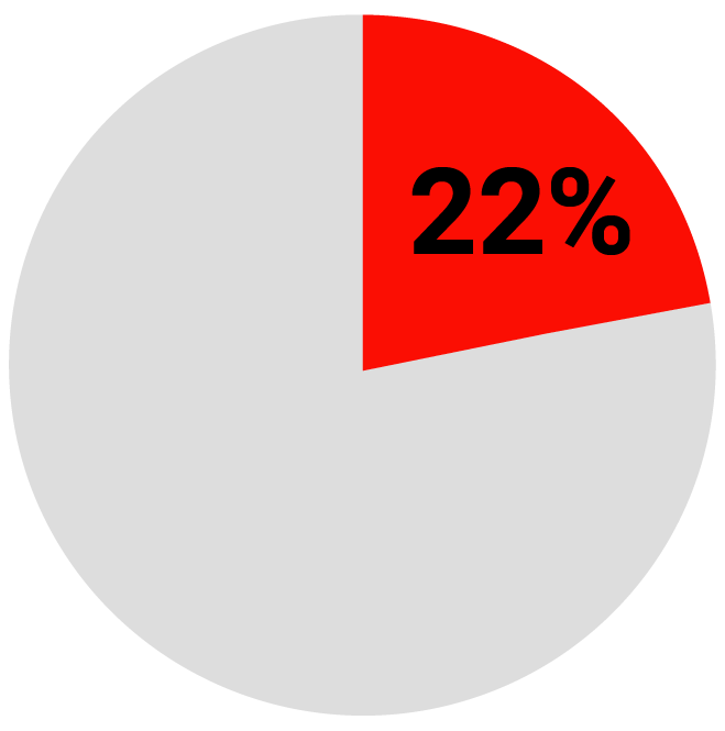 Pie chart with 22% segment highlighted in red, remaining portion unfilled.